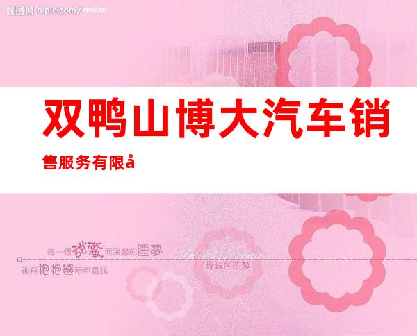 双鸭山博大汽车销售服务有限公司
